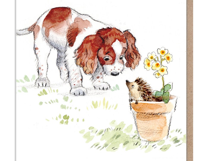 Blank Card - Quality Greeting Card - Charming Dog illustration - 'Absolutely barking' range - Springer Spaniel - Made in UK - ABE036