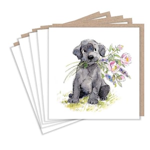 Pack de cartes de correspondance - 5 petites cartes de qualité avec enveloppes marron recyclées (125 x 125 mm)