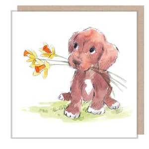 Carte vierge - Carte de voeux de qualité - Illustration de chien charmant - Gamme « Absolument aboyant » - Chiot chocolat - Fabriqué au Royaume-Uni - ABE068