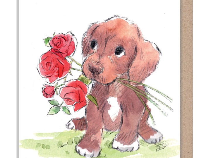 Valentine's Day Card - Quality Greeting Card - Charming illustration - 'Absolutely barking' range - Brown Puppy- Made in UK -  ABVAL04