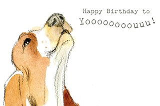 Dog Speak Biglietto Di Auguri Di Compleanno Per Cani - "No Matter What, Always Happy To Be With You" - Formato 12,1x17,1 Cm Con Busta