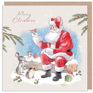 Carte de Noël de qualité - Joyeux Noël - 150 x 150 mm - Père Noël tenant un Robin - Gamme « Wintery Tails » - Fabriqué au Royaume-Uni - WT04