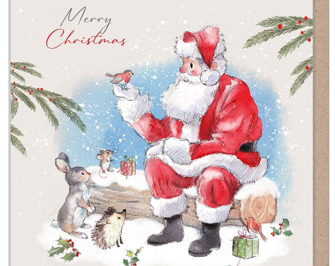 Quality Christmas Card- Merry Christmas -150 x 150mm - Santa holding Robin - 'Wintery Tails'  range - Made in UK - WT04
