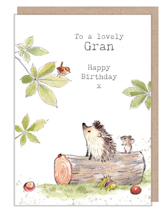 Gran Birthday Card - Cute Hedgehog and Mouse Illustration - BWE038