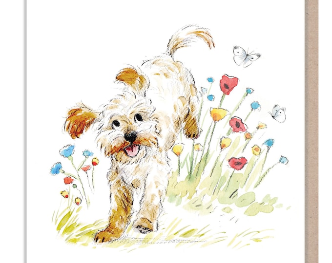 Blank Card - Quality Greeting Card - Charming Dog illustration - 'Absolutely barking' range - Cockapoo/Labradoodle - Made in UK -  ABE069