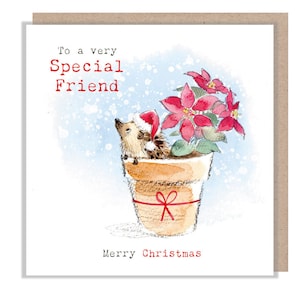 Special Friends - Hochwertige Weihnachtskarte - 150 x 150mm - Charmante Igel Illustration - 'Bucklebury Wood' Reihe - Made in UK - BWX017