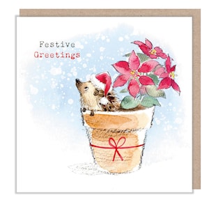 Salutations festives - Carte de Noël de qualité - 150 x 150 mm - Illustration charmante de hérisson - Gamme « Bucklebury Wood » - Fabriqué au Royaume-Uni - BWX014
