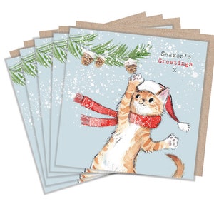 Lot de 5 petites cartes de qualité avec enveloppes recyclées brunes -125 x 125 mm- modèle unique - Ginger Kitten - XPACK07