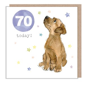 Cartão de aniversário AGE 70 - Ilustração encantadora - Brown Puppy - Linha 'Party Time' - Fabricado no Reino Unido - PTAGE070