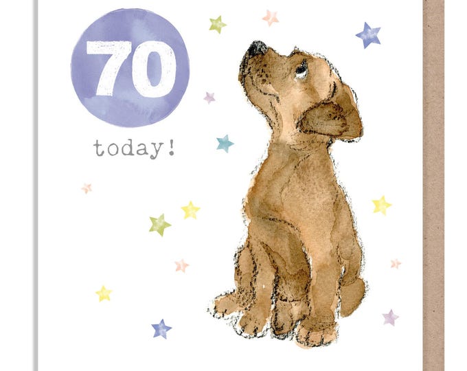 AGE 70 Birthday Card -  Charming illustration -  Brown Puppy - 'Party Time'  range - Made in UK -  PTAGE070