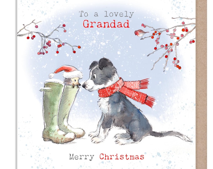 Grandad Christmas card - Charming illustration - 'Buttercup Farm' range - Collie Dog and Hedgehog - Made in UK -  BFX012
