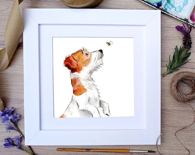 Framed Print - Jack Russell - Charming Illustration in soft pencil and watercolour - 25cm x 25cm -  FRABE030