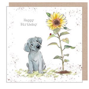 Carte d'anniversaire - Carte de qualité - Illustration de chien charmant - Gamme « Absolument aboyant » - Chiot gris avec tournesol - Fabriqué au Royaume-Uni - ABE114