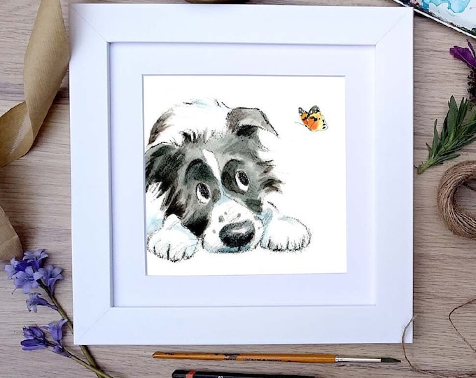 Framed Print - Border Collie - Charming Illustration in soft pencil and watercolour - 25cm x 25cm -  FRABE029