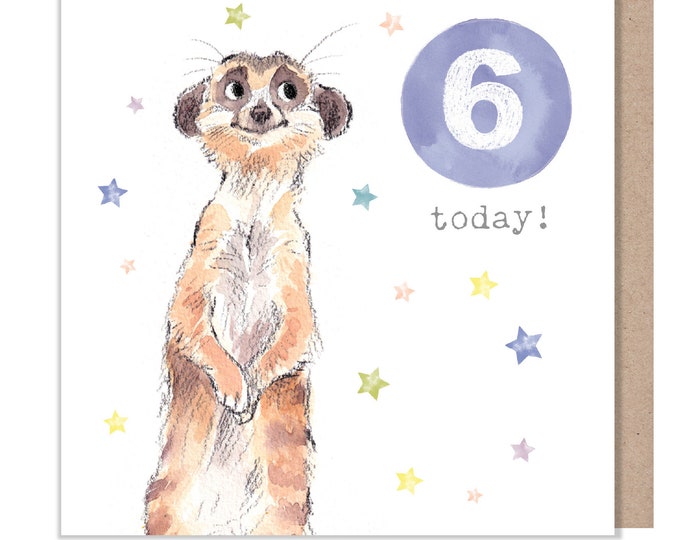 AGE 6 Birthday Card -  Charming illustration - Meerkat,  'Party Time'  range - Made in UK -  PTAGE06