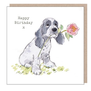 Carte d'anniversaire de chien - Carte de voeux de qualité - Charmante illustration - Gamme « Absolument aboyant » - Cocker anglais - Fabriqué au Royaume-Uni - ABE050