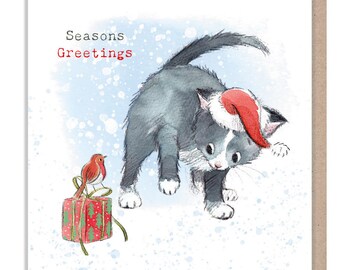 Quality Christmas Card - Charming Cat illustration - 'Pawsitively Purrect' range - Black Cat in Xmas hat with Robin - Made in UK - XPP09