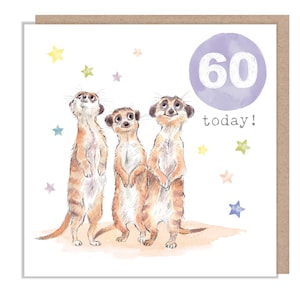 Cartão de aniversário de 60 anos - Ilustração encantadora - Linha 'Party Time' da Meerkats - Fabricado no Reino Unido - PTAGE060