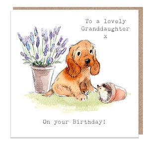 Anniversaire de petite-fille - Carte de voeux de qualité - Charmante illustration - Gamme « Absolument aboyant » - Cocker - Fabriqué au Royaume-Uni - ABE016