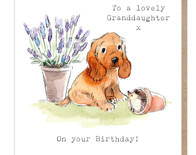 Granddaughter Birthday - Quality Greeting Card - Charming illustration - 'Absolutely barking' range - Cocker spaniel- Made in UK -  ABE016