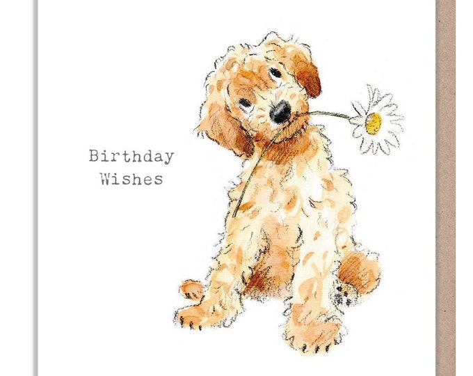 Birthday Card - Quality Greeting Card - Charming Dog illustration - 'Absolutely barking' range -  Cockapoo - Made in UK -  ABE091