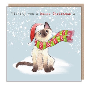 Carte de Noël de qualité - Illustration charmante de chat - Gamme « Pawsitively Purrect » - Chat avec bonnet et écharpe de Noël - Fabriqué au Royaume-Uni - XPP03