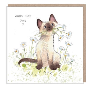 Biglietto di auguri con gatto - Solo per te - Biglietto di auguri di qualità - Illustrazione affascinante - Gamma "Pawsitively Purrect" - Gatto con margherite - Prodotto nel Regno Unito - EPP03