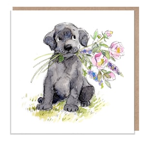 空白カード - 高品質のグリーティングカード - 魅力的な犬のイラスト - 「絶対に吠える」シリーズ - ブラック ラブラドール - 英国製 - ABE023