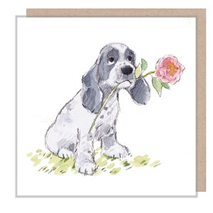 Carte vierge - Carte de voeux de qualité - Illustration de chien charmant - Gamme « Absolument aboyant » - Cocker anglais - Fabriqué au Royaume-Uni - ABE065
