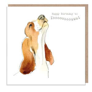 Hunde Geburtstagskarte - Hochwertige Grußkarte -Bezaubernde Illustration -süßer Hund- 'Absolutely Barking' - Basset Hound - Made in UK - ABE047