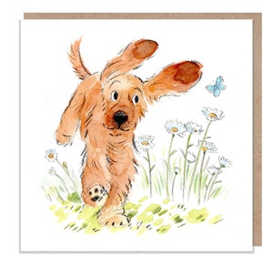 Blanko Karte - Hochwertige Grußkarte - Charmante Hunde Illustration - 'Absolutely Barking' Serie - Cocker Spaniel - Made in UK - ABE031
