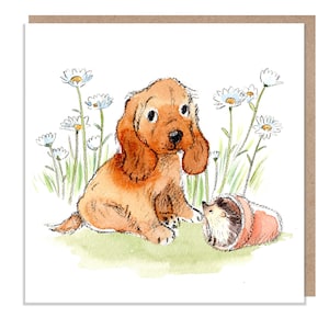 Blanko Karte - Hochwertige Grußkarte - Charmante Hunde Illustration - 'Absolutely Barking' Serie - Cocker Spaniel - Made in UK - ABE032