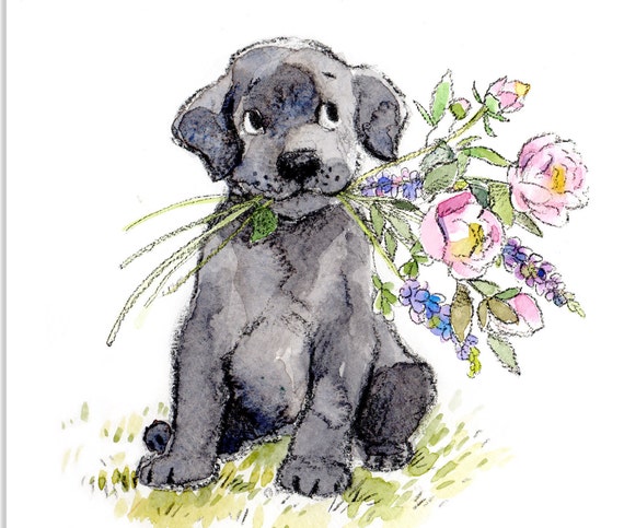 Biglietto Di Compleanno Per Lei Con Cucciolo Di Cockapoo E Uccelli, Design Giardino, Lamina Argentata, Inserto Illustrato, 190x140 Mm, Jonny Javelin UK - 5