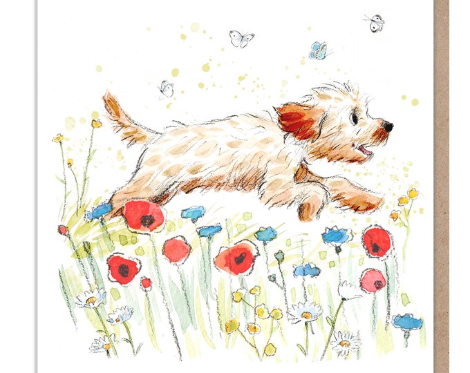 Blank Card - Quality Greeting Card - Charming Dog illustration - 'Absolutely barking' range -Cockapoo/Labradoodle type - Made in UK - ABE027