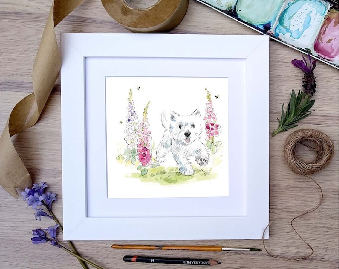 Framed Print - Westie - Charming Illustration in soft pencil and watercolour - 25cm x 25cm -  FRABE67
