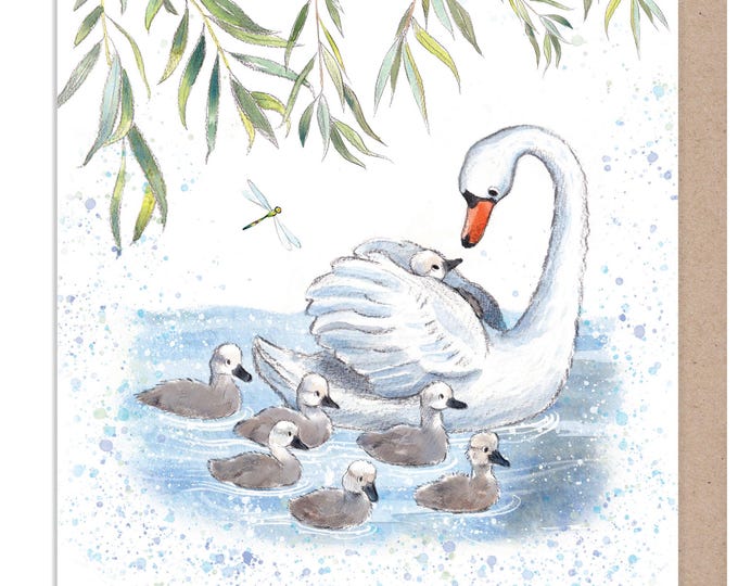 Blank Card  -Quality greeting Card - Swan and Cygnets illustration - 'Down by the river' range - made in UK  - RIV019