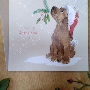 May include: A Christmas card featuring a brown dog wearing a red Santa hat and looking up at a sprig of holly with red berries. The card has a white background with a snowy effect and the text "Merry Christmas" in red.