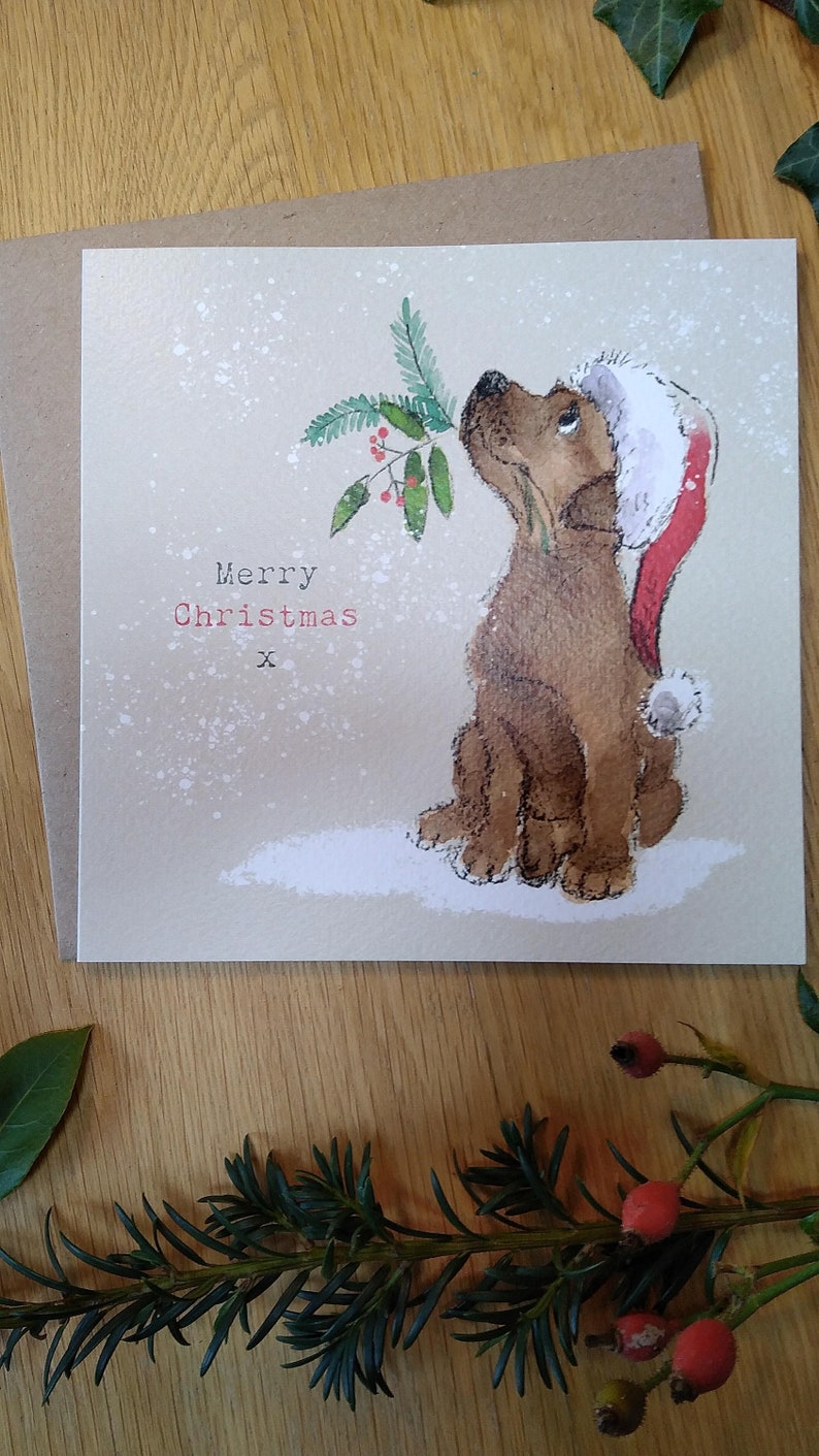 May include: A Christmas card featuring a brown dog wearing a red Santa hat and looking up at a sprig of holly with red berries. The card has a white background with a snowy effect and the text "Merry Christmas" in red.