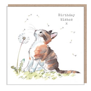 Tarjeta de cumpleaños con un gato - Tarjeta de felicitación de calidad - Ilustración encantadora - Gama 'Pawsitively Purrect' - Lindo gato con diente de león - Fabricada en el Reino Unido - EPP06