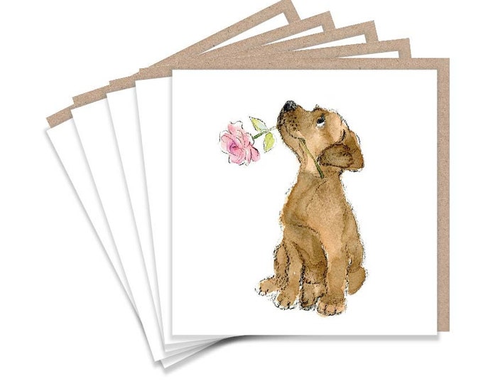 Notecard pack - 5 small quality cards with brown recycled envelopes (125 x 125mm)