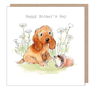 Mother's Day Card -Quality Greeting Card - Charming illustration - 'Absolutely barking' range - Cocker Spaniel - made in UK ABMD06