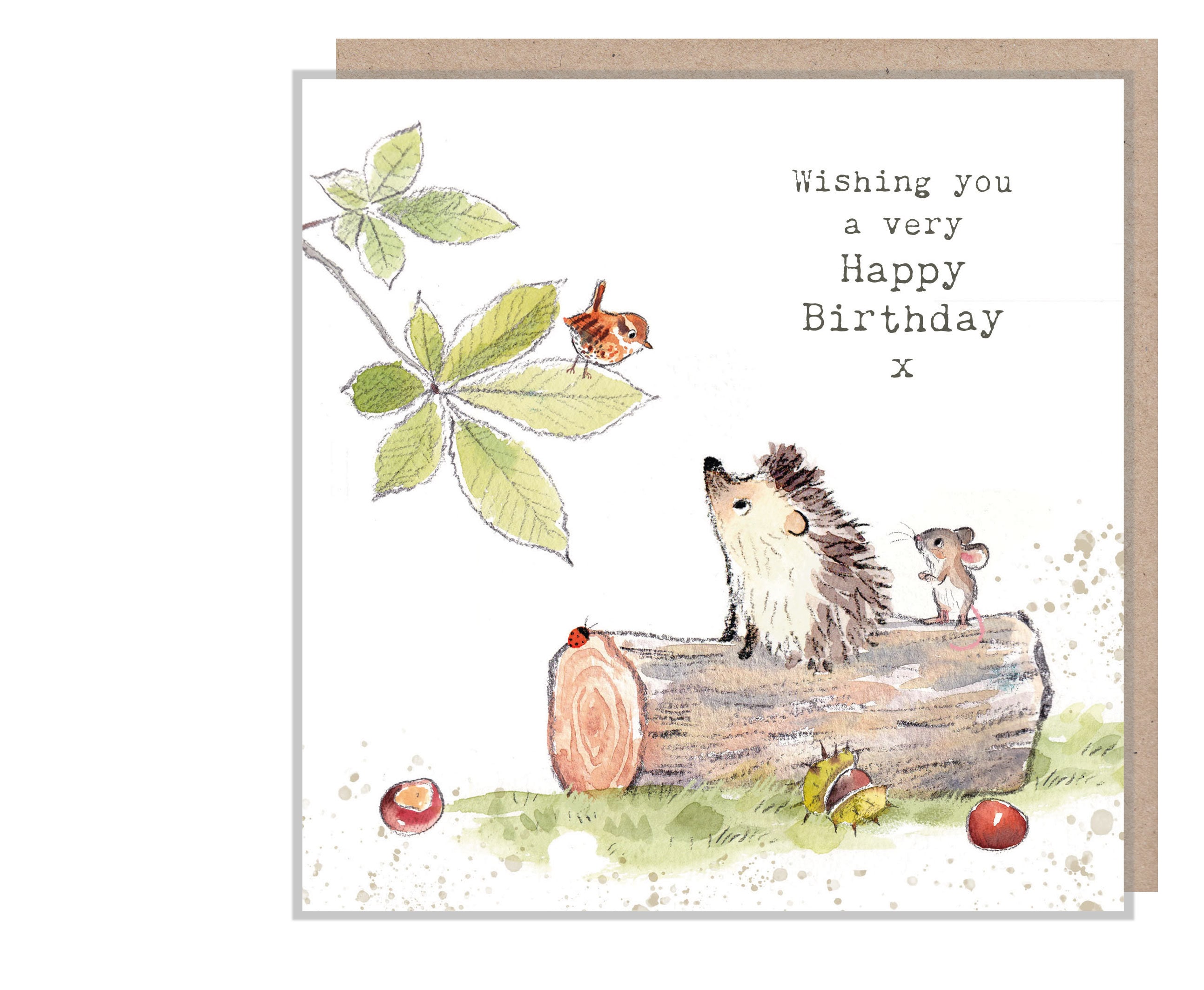 Hedgehog Birthday | Greeting Card Hedgehog Birthday | Greeting Card