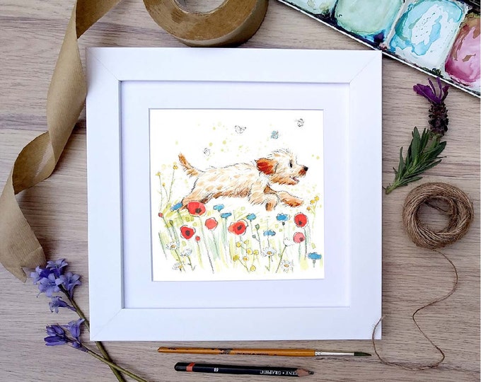 Framed print - Cockapoo -Charming Illustration in soft pencil and watercolour - 25cm x 25cm -  FRABE027