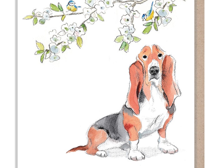 Blank Card - Quality Greeting Card - Charming Dog illustration - 'Absolutely barking' range - Bassett with Blossom- Made in UK - ABE060