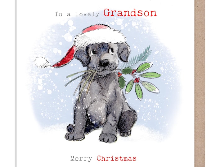 Grandson Christmas card  - Charming illustration - 'Absolutely barking' range - Black Labrador - Made in UK -  ABX133