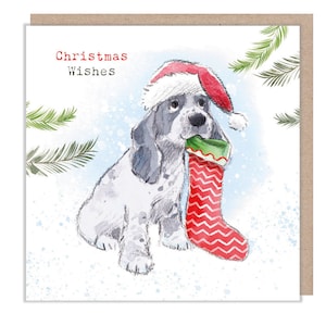 Desejos de Natal - Cartão de Natal de qualidade - 150 x 150mm - Ilustração de Cocker Spaniel - Gama 'Absolutely latindo' - Fabricado no Reino Unido - ABX109
