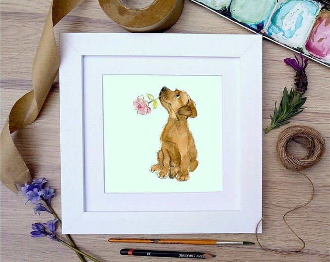 Framed print - Chocolate Labrador - Charming Illustration in soft pencil and watercolour - 25cm x 25cm -  FRABE48