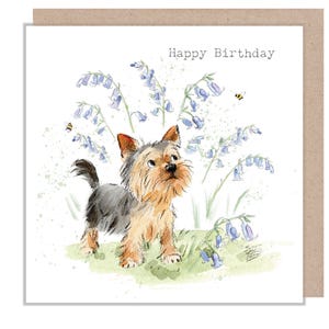 Carte d'anniversaire - Charmante illustration - Gamme « Absolument aboyant » - Yorkshire Terrier - Fabriquée au Royaume-Uni - ABE113