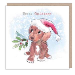 Merry Christmas - Hochwertige Weihnachtskarte - 150 x 150 mm - Charmante Illustration - Bereich 'Absolutely Barking' - ABK115