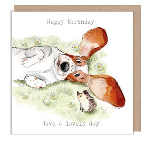 Carte d'anniversaire - Illustration de chien charmant - Gamme « Absolutement aboyant » - Basset Hound et hérisson - Fabriquée au Royaume-Uni - ABE098